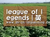种植基地五