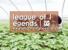 种植基地三