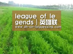 种植基地四