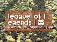 种植基地七