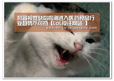 机器视觉缺陷检测进入医药食品行业趋势不可挡【LoL投注网站 】(图2) 2026年最佳英雄联盟投注网站