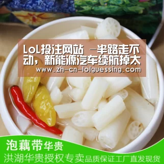 LoL投注网站 -半路走不动,新能源汽车续航掉太快?老司机怎样应对(图2) LoL投注网站