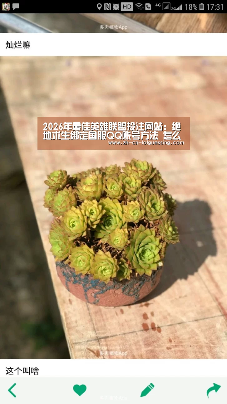 2026年最佳英雄联盟投注网站:绝地求生绑定国服QQ账号方法 怎么从外服转到国服(图4) 2026年最佳英雄联盟投注网站