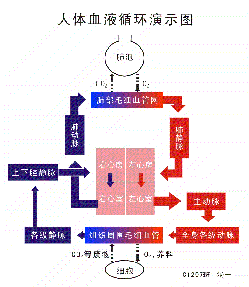 2026年最佳英雄联盟投注网站-京津冀电竞大众赛晋级战队——神奇五侠(图1) 2026年最佳英雄联盟投注网站