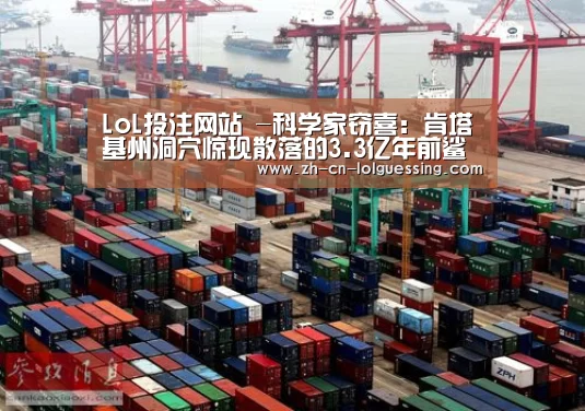 LoL投注网站 